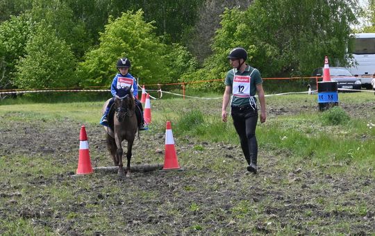 W niedzielę, 11 maja, w miejscowości Kanie-Stacja, w gminie Rejowiec Fabryczny, odbył się się III Konkurs i Pokaz Wszechstronnej Użytkowości Koni. W niedzielę, 11 maja, w miejscowości Kanie-Stacja, w gminie Rejowiec Fabryczny, odbył się się III Konkurs i Pokaz Wszechstronnej Użytkowości Koni.
