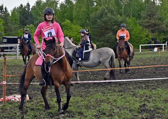 W niedzielę, 11 maja, w miejscowości Kanie-Stacja, w gminie Rejowiec Fabryczny, odbył się się III Konkurs i Pokaz Wszechstronnej Użytkowości Koni. W niedzielę, 11 maja, w miejscowości Kanie-Stacja, w gminie Rejowiec Fabryczny, odbył się się III Konkurs i Pokaz Wszechstronnej Użytkowości Koni.