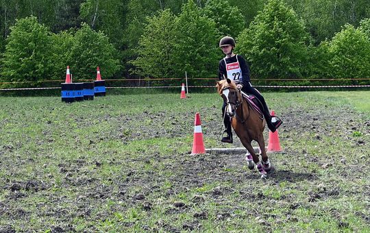 W niedzielę, 11 maja, w miejscowości Kanie-Stacja, w gminie Rejowiec Fabryczny, odbył się się III Konkurs i Pokaz Wszechstronnej Użytkowości Koni. W niedzielę, 11 maja, w miejscowości Kanie-Stacja, w gminie Rejowiec Fabryczny, odbył się się III Konkurs i Pokaz Wszechstronnej Użytkowości Koni.