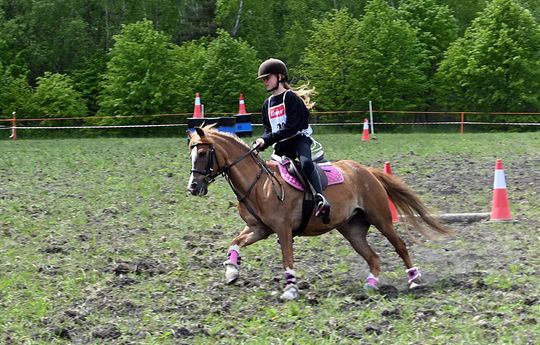 W niedzielę, 11 maja, w miejscowości Kanie-Stacja, w gminie Rejowiec Fabryczny, odbył się się III Konkurs i Pokaz Wszechstronnej Użytkowości Koni.