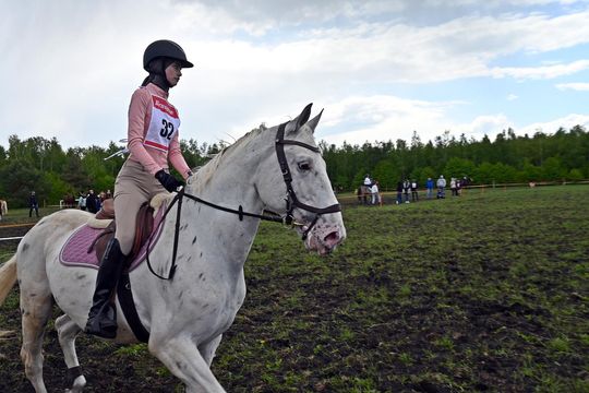 W niedzielę, 11 maja, w miejscowości Kanie-Stacja, w gminie Rejowiec Fabryczny, odbył się się III Konkurs i Pokaz Wszechstronnej Użytkowości Koni. W niedzielę, 11 maja, w miejscowości Kanie-Stacja, w gminie Rejowiec Fabryczny, odbył się się III Konkurs i Pokaz Wszechstronnej Użytkowości Koni.