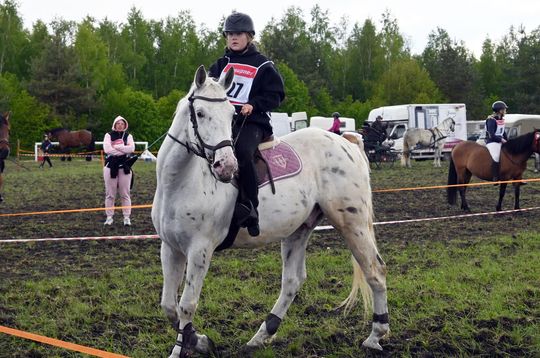 W niedzielę, 11 maja, w miejscowości Kanie-Stacja, w gminie Rejowiec Fabryczny, odbył się się III Konkurs i Pokaz Wszechstronnej Użytkowości Koni. W niedzielę, 11 maja, w miejscowości Kanie-Stacja, w gminie Rejowiec Fabryczny, odbył się się III Konkurs i Pokaz Wszechstronnej Użytkowości Koni.