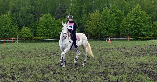 W niedzielę, 11 maja, w miejscowości Kanie-Stacja, w gminie Rejowiec Fabryczny, odbył się się III Konkurs i Pokaz Wszechstronnej Użytkowości Koni. W niedzielę, 11 maja, w miejscowości Kanie-Stacja, w gminie Rejowiec Fabryczny, odbył się się III Konkurs i Pokaz Wszechstronnej Użytkowości Koni.