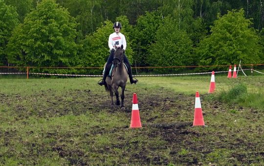 W niedzielę, 11 maja, w miejscowości Kanie-Stacja, w gminie Rejowiec Fabryczny, odbył się się III Konkurs i Pokaz Wszechstronnej Użytkowości Koni. W niedzielę, 11 maja, w miejscowości Kanie-Stacja, w gminie Rejowiec Fabryczny, odbył się się III Konkurs i Pokaz Wszechstronnej Użytkowości Koni.