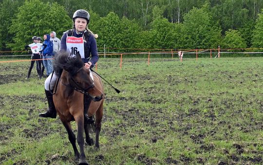W niedzielę, 11 maja, w miejscowości Kanie-Stacja, w gminie Rejowiec Fabryczny, odbył się się III Konkurs i Pokaz Wszechstronnej Użytkowości Koni. W niedzielę, 11 maja, w miejscowości Kanie-Stacja, w gminie Rejowiec Fabryczny, odbył się się III Konkurs i Pokaz Wszechstronnej Użytkowości Koni.