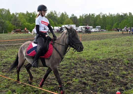 W niedzielę, 11 maja, w miejscowości Kanie-Stacja, w gminie Rejowiec Fabryczny, odbył się się III Konkurs i Pokaz Wszechstronnej Użytkowości Koni. W niedzielę, 11 maja, w miejscowości Kanie-Stacja, w gminie Rejowiec Fabryczny, odbył się się III Konkurs i Pokaz Wszechstronnej Użytkowości Koni.