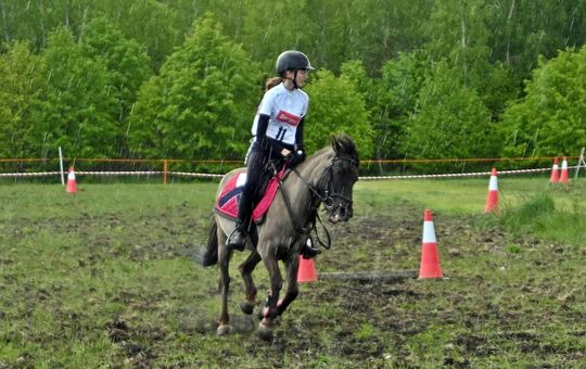 W niedzielę, 11 maja, w miejscowości Kanie-Stacja, w gminie Rejowiec Fabryczny, odbył się się III Konkurs i Pokaz Wszechstronnej Użytkowości Koni. W niedzielę, 11 maja, w miejscowości Kanie-Stacja, w gminie Rejowiec Fabryczny, odbył się się III Konkurs i Pokaz Wszechstronnej Użytkowości Koni.