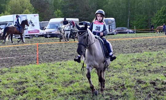W niedzielę, 11 maja, w miejscowości Kanie-Stacja, w gminie Rejowiec Fabryczny, odbył się się III Konkurs i Pokaz Wszechstronnej Użytkowości Koni. W niedzielę, 11 maja, w miejscowości Kanie-Stacja, w gminie Rejowiec Fabryczny, odbył się się III Konkurs i Pokaz Wszechstronnej Użytkowości Koni.