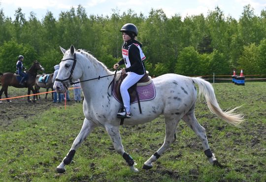 W niedzielę, 11 maja, w miejscowości Kanie-Stacja, w gminie Rejowiec Fabryczny, odbył się się III Konkurs i Pokaz Wszechstronnej Użytkowości Koni. W niedzielę, 11 maja, w miejscowości Kanie-Stacja, w gminie Rejowiec Fabryczny, odbył się się III Konkurs i Pokaz Wszechstronnej Użytkowości Koni.