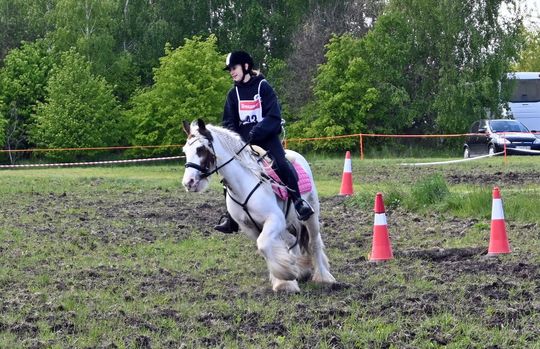 W niedzielę, 11 maja, w miejscowości Kanie-Stacja, w gminie Rejowiec Fabryczny, odbył się się III Konkurs i Pokaz Wszechstronnej Użytkowości Koni. W niedzielę, 11 maja, w miejscowości Kanie-Stacja, w gminie Rejowiec Fabryczny, odbył się się III Konkurs i Pokaz Wszechstronnej Użytkowości Koni.