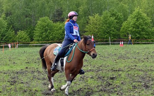 W niedzielę, 11 maja, w miejscowości Kanie-Stacja, w gminie Rejowiec Fabryczny, odbył się się III Konkurs i Pokaz Wszechstronnej Użytkowości Koni. W niedzielę, 11 maja, w miejscowości Kanie-Stacja, w gminie Rejowiec Fabryczny, odbył się się III Konkurs i Pokaz Wszechstronnej Użytkowości Koni.