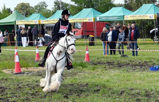 W niedzielę, 11 maja, w miejscowości Kanie-Stacja, w gminie Rejowiec Fabryczny, odbył się się III Konkurs i Pokaz Wszechstronnej Użytkowości Koni. W niedzielę, 11 maja, w miejscowości Kanie-Stacja, w gminie Rejowiec Fabryczny, odbył się się III Konkurs i Pokaz Wszechstronnej Użytkowości Koni.