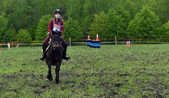 W niedzielę, 11 maja, w miejscowości Kanie-Stacja, w gminie Rejowiec Fabryczny, odbył się się III Konkurs i Pokaz Wszechstronnej Użytkowości Koni. W niedzielę, 11 maja, w miejscowości Kanie-Stacja, w gminie Rejowiec Fabryczny, odbył się się III Konkurs i Pokaz Wszechstronnej Użytkowości Koni.