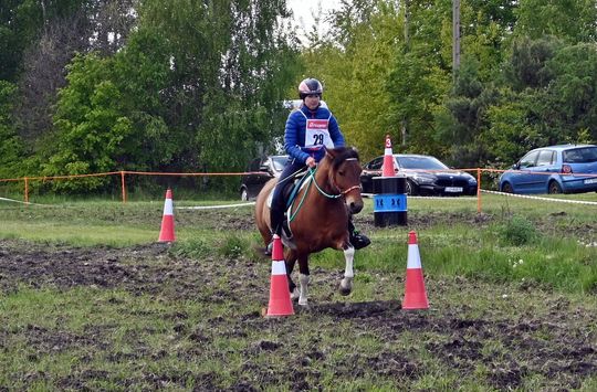 W niedzielę, 11 maja, w miejscowości Kanie-Stacja, w gminie Rejowiec Fabryczny, odbył się się III Konkurs i Pokaz Wszechstronnej Użytkowości Koni. W niedzielę, 11 maja, w miejscowości Kanie-Stacja, w gminie Rejowiec Fabryczny, odbył się się III Konkurs i Pokaz Wszechstronnej Użytkowości Koni.