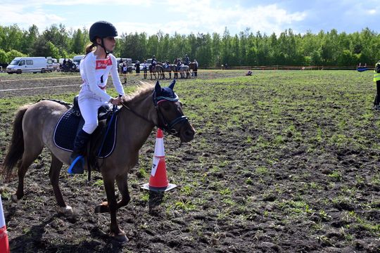 W niedzielę, 11 maja, w miejscowości Kanie-Stacja, w gminie Rejowiec Fabryczny, odbył się się III Konkurs i Pokaz Wszechstronnej Użytkowości Koni. W niedzielę, 11 maja, w miejscowości Kanie-Stacja, w gminie Rejowiec Fabryczny, odbył się się III Konkurs i Pokaz Wszechstronnej Użytkowości Koni.