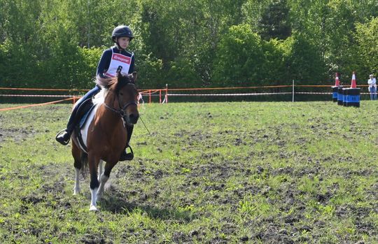 W niedzielę, 11 maja, w miejscowości Kanie-Stacja, w gminie Rejowiec Fabryczny, odbył się się III Konkurs i Pokaz Wszechstronnej Użytkowości Koni. W niedzielę, 11 maja, w miejscowości Kanie-Stacja, w gminie Rejowiec Fabryczny, odbył się się III Konkurs i Pokaz Wszechstronnej Użytkowości Koni.