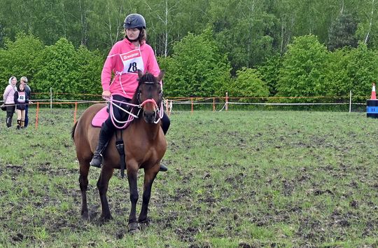 W niedzielę, 11 maja, w miejscowości Kanie-Stacja, w gminie Rejowiec Fabryczny, odbył się się III Konkurs i Pokaz Wszechstronnej Użytkowości Koni. W niedzielę, 11 maja, w miejscowości Kanie-Stacja, w gminie Rejowiec Fabryczny, odbył się się III Konkurs i Pokaz Wszechstronnej Użytkowości Koni.