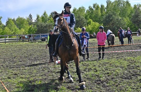 W niedzielę, 11 maja, w miejscowości Kanie-Stacja, w gminie Rejowiec Fabryczny, odbył się się III Konkurs i Pokaz Wszechstronnej Użytkowości Koni. W niedzielę, 11 maja, w miejscowości Kanie-Stacja, w gminie Rejowiec Fabryczny, odbył się się III Konkurs i Pokaz Wszechstronnej Użytkowości Koni.