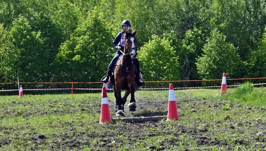 W niedzielę, 11 maja, w miejscowości Kanie-Stacja, w gminie Rejowiec Fabryczny, odbył się się III Konkurs i Pokaz Wszechstronnej Użytkowości Koni.