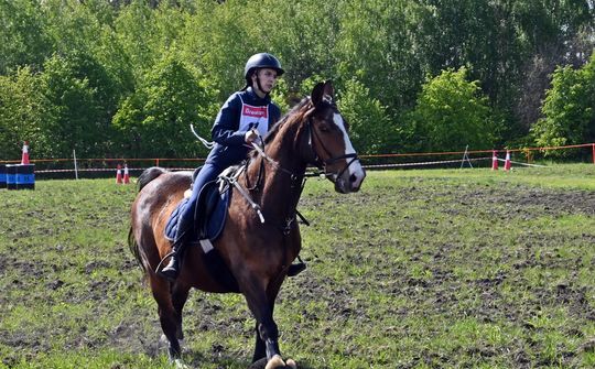 W niedzielę, 11 maja, w miejscowości Kanie-Stacja, w gminie Rejowiec Fabryczny, odbył się się III Konkurs i Pokaz Wszechstronnej Użytkowości Koni. W niedzielę, 11 maja, w miejscowości Kanie-Stacja, w gminie Rejowiec Fabryczny, odbył się się III Konkurs i Pokaz Wszechstronnej Użytkowości Koni.