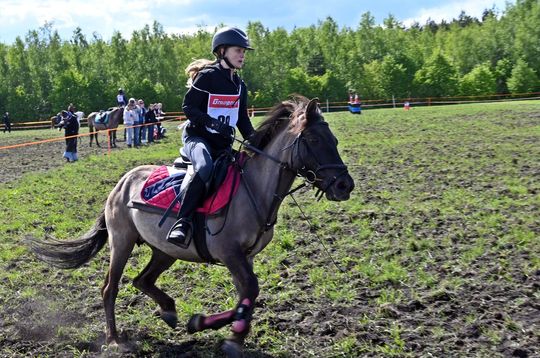 W niedzielę, 11 maja, w miejscowości Kanie-Stacja, w gminie Rejowiec Fabryczny, odbył się się III Konkurs i Pokaz Wszechstronnej Użytkowości Koni. W niedzielę, 11 maja, w miejscowości Kanie-Stacja, w gminie Rejowiec Fabryczny, odbył się się III Konkurs i Pokaz Wszechstronnej Użytkowości Koni.