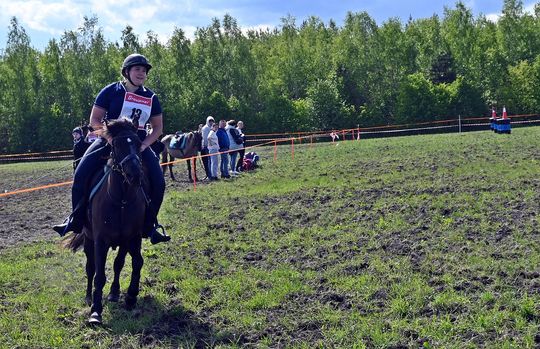 W niedzielę, 11 maja, w miejscowości Kanie-Stacja, w gminie Rejowiec Fabryczny, odbył się się III Konkurs i Pokaz Wszechstronnej Użytkowości Koni. W niedzielę, 11 maja, w miejscowości Kanie-Stacja, w gminie Rejowiec Fabryczny, odbył się się III Konkurs i Pokaz Wszechstronnej Użytkowości Koni.