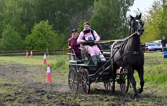 W niedzielę, 11 maja, w miejscowości Kanie-Stacja, w gminie Rejowiec Fabryczny, odbył się się III Konkurs i Pokaz Wszechstronnej Użytkowości Koni. W niedzielę, 11 maja, w miejscowości Kanie-Stacja, w gminie Rejowiec Fabryczny, odbył się się III Konkurs i Pokaz Wszechstronnej Użytkowości Koni.