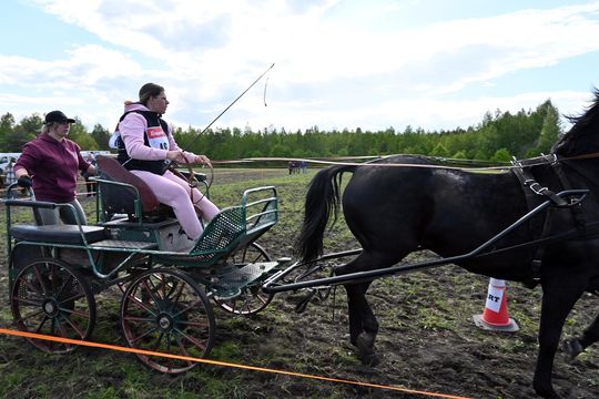 W niedzielę, 11 maja, w miejscowości Kanie-Stacja, w gminie Rejowiec Fabryczny, odbył się się III Konkurs i Pokaz Wszechstronnej Użytkowości Koni.