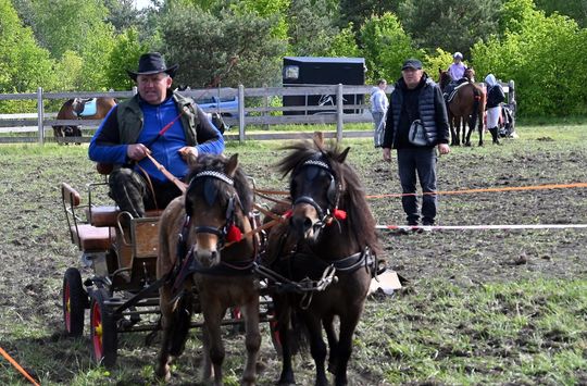 W niedzielę, 11 maja, w miejscowości Kanie-Stacja, w gminie Rejowiec Fabryczny, odbył się się III Konkurs i Pokaz Wszechstronnej Użytkowości Koni. W niedzielę, 11 maja, w miejscowości Kanie-Stacja, w gminie Rejowiec Fabryczny, odbył się się III Konkurs i Pokaz Wszechstronnej Użytkowości Koni.