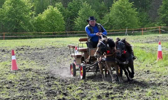 W niedzielę, 11 maja, w miejscowości Kanie-Stacja, w gminie Rejowiec Fabryczny, odbył się się III Konkurs i Pokaz Wszechstronnej Użytkowości Koni. W niedzielę, 11 maja, w miejscowości Kanie-Stacja, w gminie Rejowiec Fabryczny, odbył się się III Konkurs i Pokaz Wszechstronnej Użytkowości Koni.