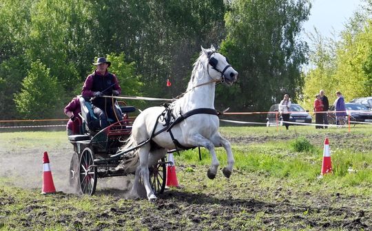 W niedzielę, 11 maja, w miejscowości Kanie-Stacja, w gminie Rejowiec Fabryczny, odbył się się III Konkurs i Pokaz Wszechstronnej Użytkowości Koni.