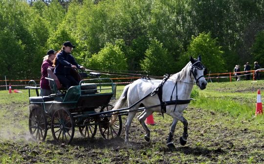 W niedzielę, 11 maja, w miejscowości Kanie-Stacja, w gminie Rejowiec Fabryczny, odbył się się III Konkurs i Pokaz Wszechstronnej Użytkowości Koni.