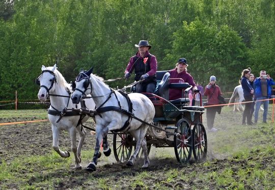 W niedzielę, 11 maja, w miejscowości Kanie-Stacja, w gminie Rejowiec Fabryczny, odbył się się III Konkurs i Pokaz Wszechstronnej Użytkowości Koni. W niedzielę, 11 maja, w miejscowości Kanie-Stacja, w gminie Rejowiec Fabryczny, odbył się się III Konkurs i Pokaz Wszechstronnej Użytkowości Koni.