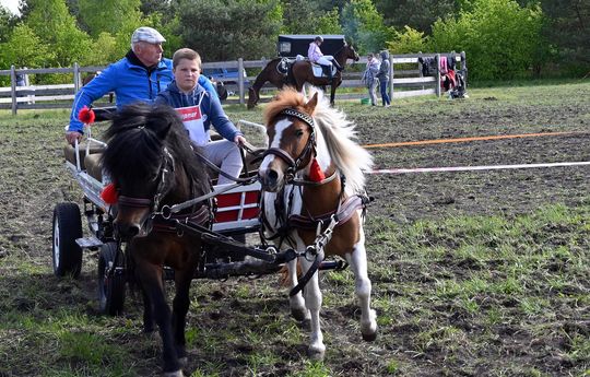 W niedzielę, 11 maja, w miejscowości Kanie-Stacja, w gminie Rejowiec Fabryczny, odbył się się III Konkurs i Pokaz Wszechstronnej Użytkowości Koni.