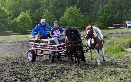 W niedzielę, 11 maja, w miejscowości Kanie-Stacja, w gminie Rejowiec Fabryczny, odbył się się III Konkurs i Pokaz Wszechstronnej Użytkowości Koni. W niedzielę, 11 maja, w miejscowości Kanie-Stacja, w gminie Rejowiec Fabryczny, odbył się się III Konkurs i Pokaz Wszechstronnej Użytkowości Koni.