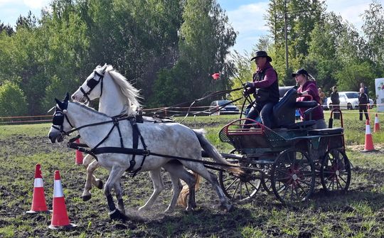 W niedzielę, 11 maja, w miejscowości Kanie-Stacja, w gminie Rejowiec Fabryczny, odbył się się III Konkurs i Pokaz Wszechstronnej Użytkowości Koni. W niedzielę, 11 maja, w miejscowości Kanie-Stacja, w gminie Rejowiec Fabryczny, odbył się się III Konkurs i Pokaz Wszechstronnej Użytkowości Koni.