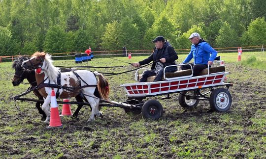W niedzielę, 11 maja, w miejscowości Kanie-Stacja, w gminie Rejowiec Fabryczny, odbył się się III Konkurs i Pokaz Wszechstronnej Użytkowości Koni. W niedzielę, 11 maja, w miejscowości Kanie-Stacja, w gminie Rejowiec Fabryczny, odbył się się III Konkurs i Pokaz Wszechstronnej Użytkowości Koni.