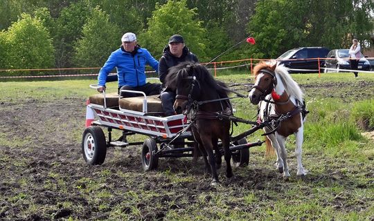 W niedzielę, 11 maja, w miejscowości Kanie-Stacja, w gminie Rejowiec Fabryczny, odbył się się III Konkurs i Pokaz Wszechstronnej Użytkowości Koni.
