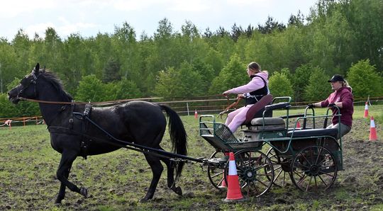 W niedzielę, 11 maja, w miejscowości Kanie-Stacja, w gminie Rejowiec Fabryczny, odbył się się III Konkurs i Pokaz Wszechstronnej Użytkowości Koni.