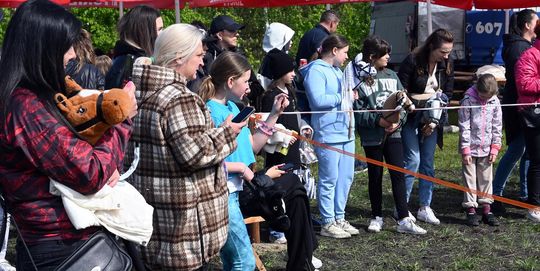 W niedzielę, 11 maja, w miejscowości Kanie-Stacja, w gminie Rejowiec Fabryczny, odbył się się III Konkurs i Pokaz Wszechstronnej Użytkowości Koni. W niedzielę, 11 maja, w miejscowości Kanie-Stacja, w gminie Rejowiec Fabryczny, odbył się się III Konkurs i Pokaz Wszechstronnej Użytkowości Koni.