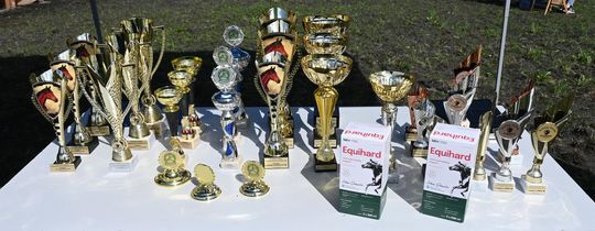 W niedzielę, 11 maja, w miejscowości Kanie-Stacja, w gminie Rejowiec Fabryczny, odbył się się III Konkurs i Pokaz Wszechstronnej Użytkowości Koni.