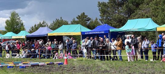 W niedzielę, 11 maja, w miejscowości Kanie-Stacja, w gminie Rejowiec Fabryczny, odbył się się III Konkurs i Pokaz Wszechstronnej Użytkowości Koni. W niedzielę, 11 maja, w miejscowości Kanie-Stacja, w gminie Rejowiec Fabryczny, odbył się się III Konkurs i Pokaz Wszechstronnej Użytkowości Koni.