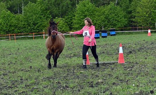 W niedzielę, 11 maja, w miejscowości Kanie-Stacja, w gminie Rejowiec Fabryczny, odbył się się III Konkurs i Pokaz Wszechstronnej Użytkowości Koni. W niedzielę, 11 maja, w miejscowości Kanie-Stacja, w gminie Rejowiec Fabryczny, odbył się się III Konkurs i Pokaz Wszechstronnej Użytkowości Koni.