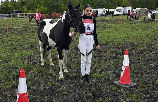 W niedzielę, 11 maja, w miejscowości Kanie-Stacja, w gminie Rejowiec Fabryczny, odbył się się III Konkurs i Pokaz Wszechstronnej Użytkowości Koni.