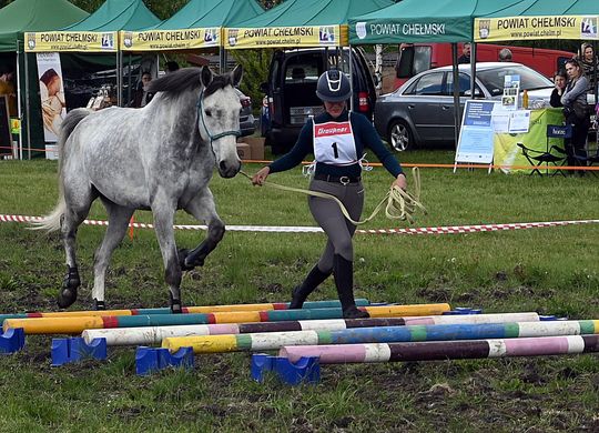 W niedzielę, 11 maja, w miejscowości Kanie-Stacja, w gminie Rejowiec Fabryczny, odbył się się III Konkurs i Pokaz Wszechstronnej Użytkowości Koni. W niedzielę, 11 maja, w miejscowości Kanie-Stacja, w gminie Rejowiec Fabryczny, odbył się się III Konkurs i Pokaz Wszechstronnej Użytkowości Koni.