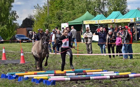 W niedzielę, 11 maja, w miejscowości Kanie-Stacja, w gminie Rejowiec Fabryczny, odbył się się III Konkurs i Pokaz Wszechstronnej Użytkowości Koni.