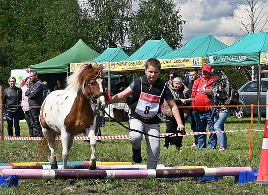 W niedzielę, 11 maja, w miejscowości Kanie-Stacja, w gminie Rejowiec Fabryczny, odbył się się III Konkurs i Pokaz Wszechstronnej Użytkowości Koni. W niedzielę, 11 maja, w miejscowości Kanie-Stacja, w gminie Rejowiec Fabryczny, odbył się się III Konkurs i Pokaz Wszechstronnej Użytkowości Koni.