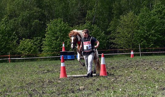 W niedzielę, 11 maja, w miejscowości Kanie-Stacja, w gminie Rejowiec Fabryczny, odbył się się III Konkurs i Pokaz Wszechstronnej Użytkowości Koni. W niedzielę, 11 maja, w miejscowości Kanie-Stacja, w gminie Rejowiec Fabryczny, odbył się się III Konkurs i Pokaz Wszechstronnej Użytkowości Koni.