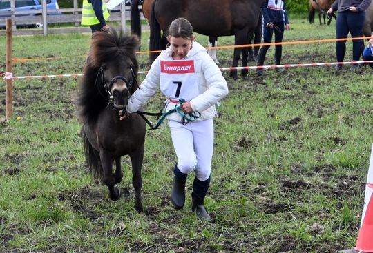 W niedzielę, 11 maja, w miejscowości Kanie-Stacja, w gminie Rejowiec Fabryczny, odbył się się III Konkurs i Pokaz Wszechstronnej Użytkowości Koni. W niedzielę, 11 maja, w miejscowości Kanie-Stacja, w gminie Rejowiec Fabryczny, odbył się się III Konkurs i Pokaz Wszechstronnej Użytkowości Koni.