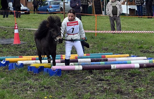 W niedzielę, 11 maja, w miejscowości Kanie-Stacja, w gminie Rejowiec Fabryczny, odbył się się III Konkurs i Pokaz Wszechstronnej Użytkowości Koni.